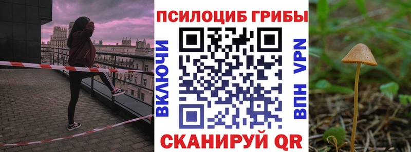 OMG как войти  Нефтеюганск  Галлюциногенные грибы мухоморы  цена  